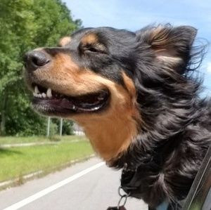 Meet your Posher, Lisa